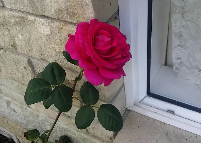 Rose Court Rotorua
