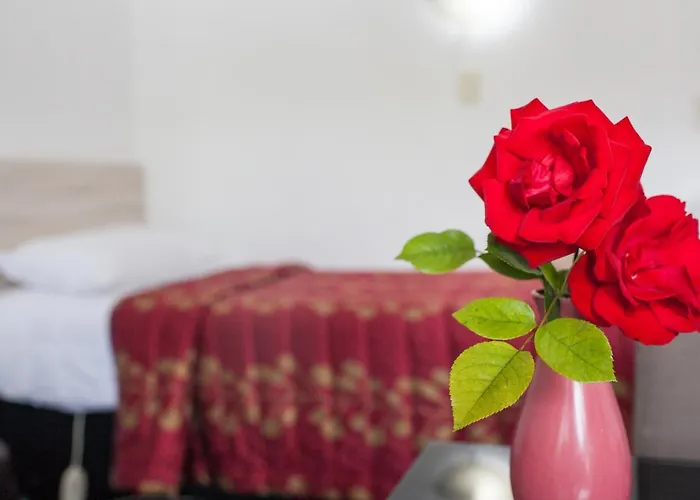 Rose Court Motel Rotorua