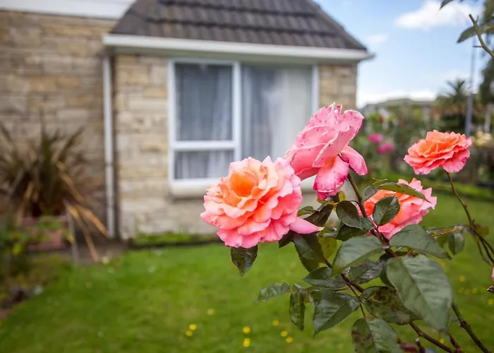 Rose Court