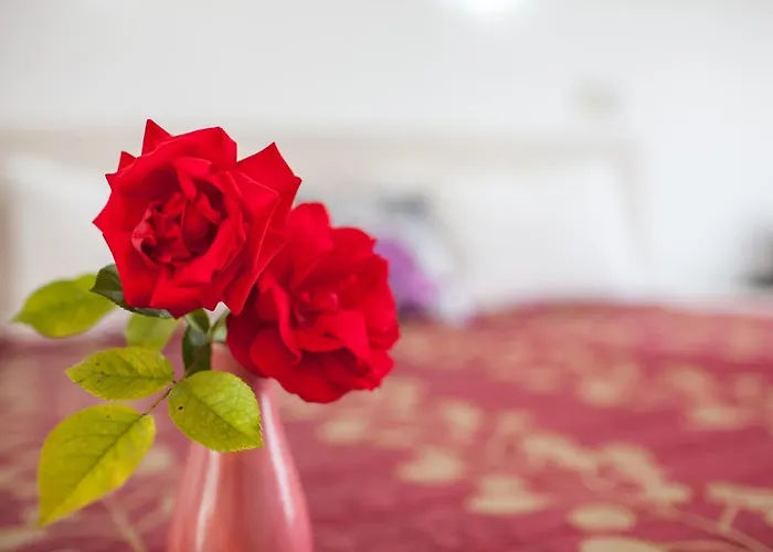 Rose Court