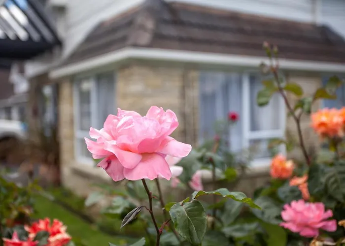 Rose Court