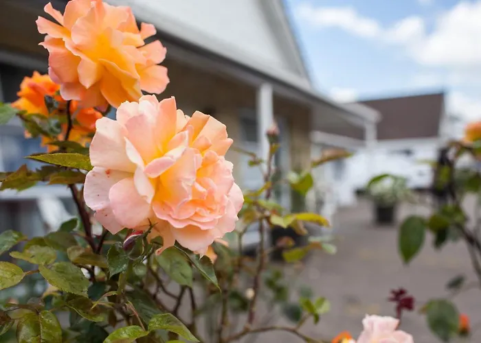 Rose Court Motel Rotorua