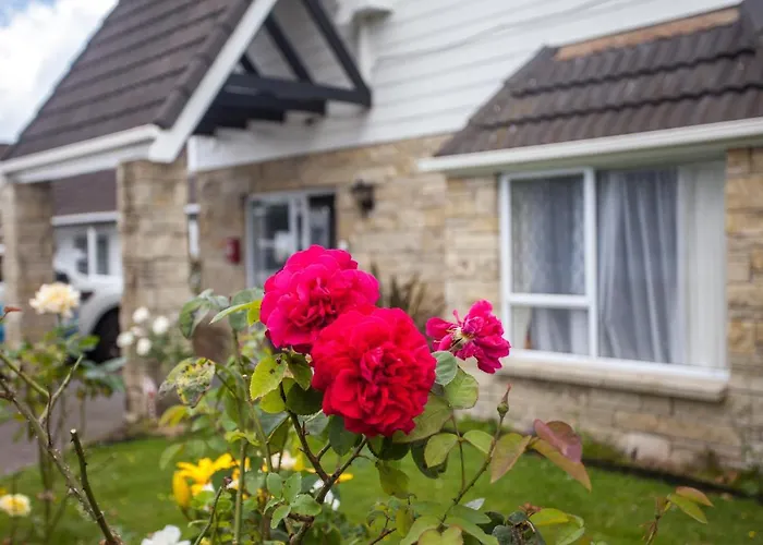 Rose Court Motel 4*